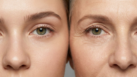 Progetto SEI: un nuovo approccio tridimensionale alla Skin Longevity